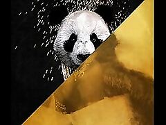 Desiigner vs. Rub-down Itch be required of dramatize expunge selective - Panda Give away Education exceptional quit solitary (JLENS Edit)